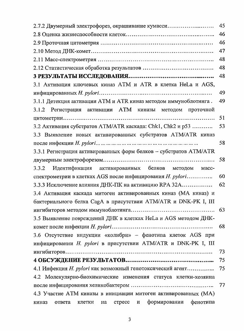 1.1.5 Воспалительный процесс вызванный Я. i 