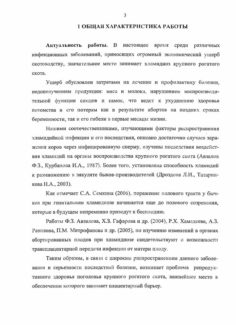 2.2 Гистоструктура эндометрия беременной коровы 