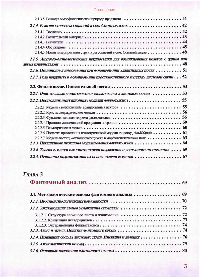 2.1.4. Ревизия структуры соцветий в сем. Соммеыкасеае 