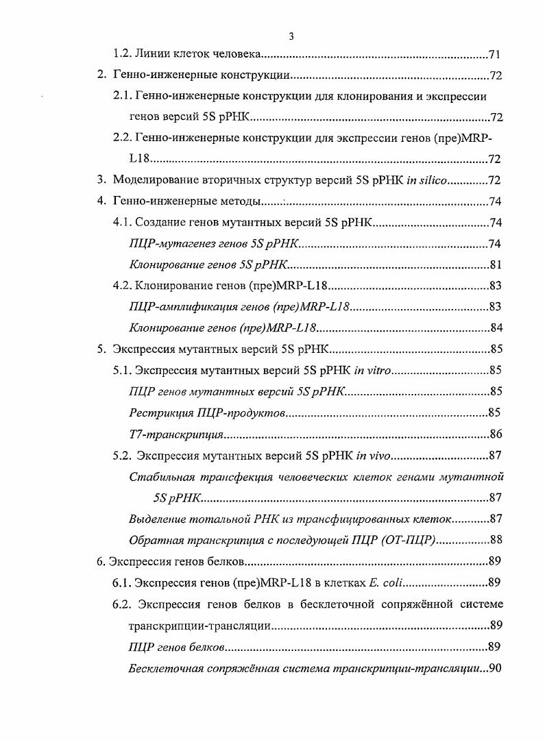 Петля Е бактериалыюго типа.