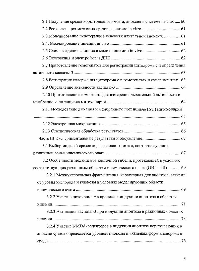 1.1.3 Концепция зоны ишемической полутени и ядра инсульта 