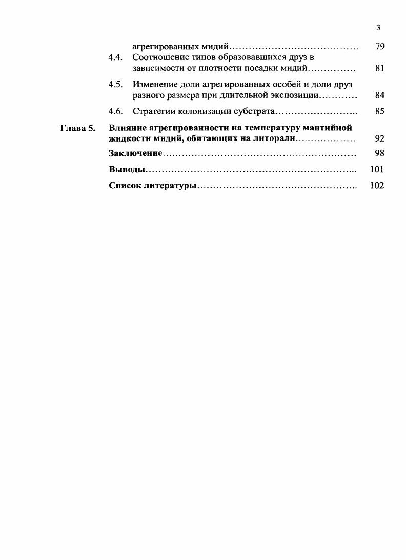 1.2. Пространственная организация агрегаций митилид 