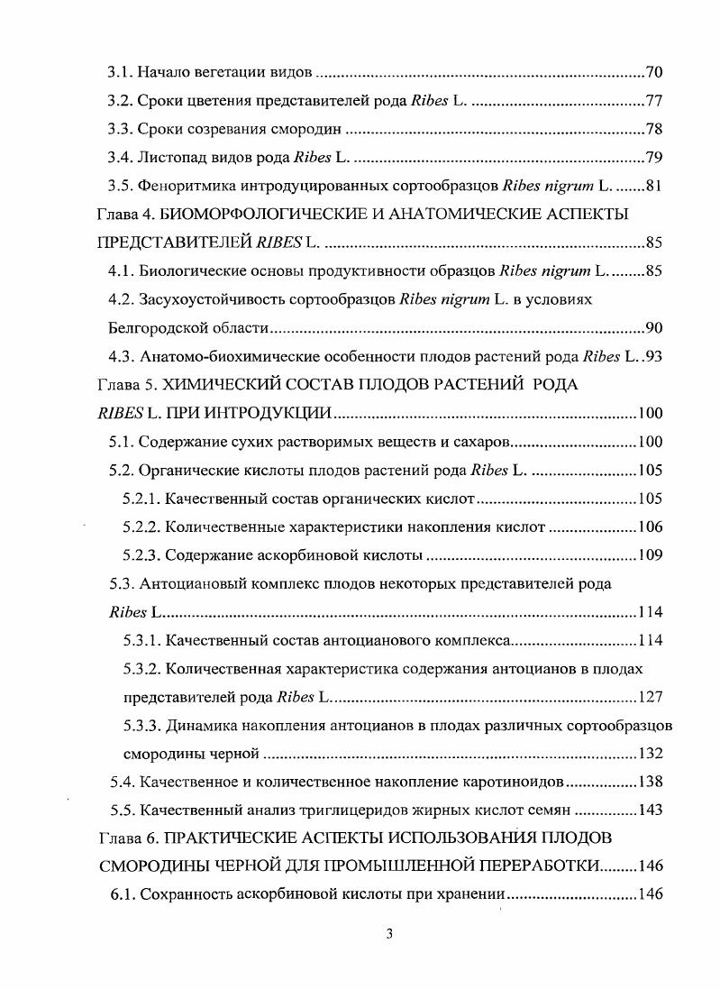 1.2. Систематическое положение рода ШЪея Ь.