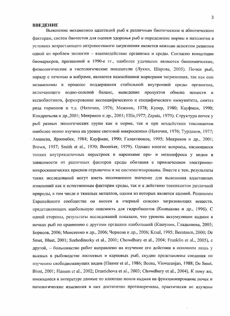 1.2. Морфологические и функциональные особенности почек круглорогых и рыб 