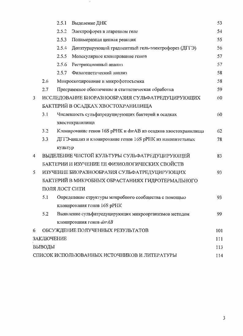 1.1 Характеристика сульфатредуцирующих бактерий 