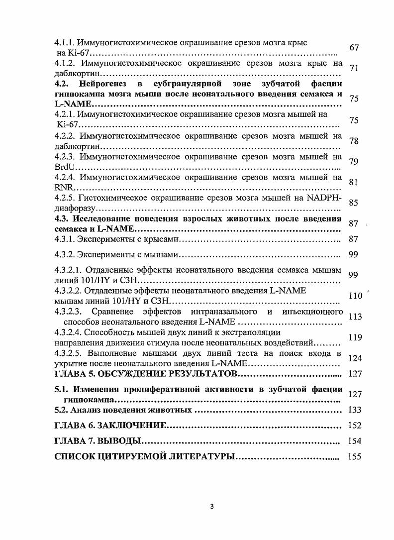 2.1.2. Основные зоны пролиферации в мозге 