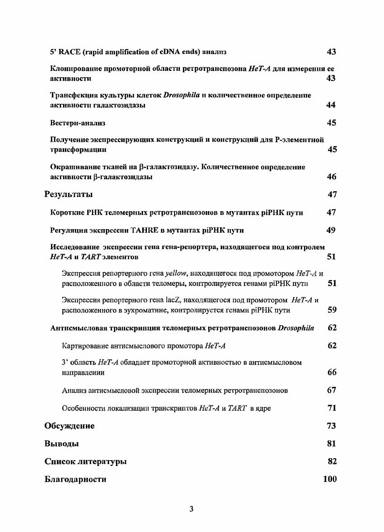 Структура теломерыых ретротранспозонов 