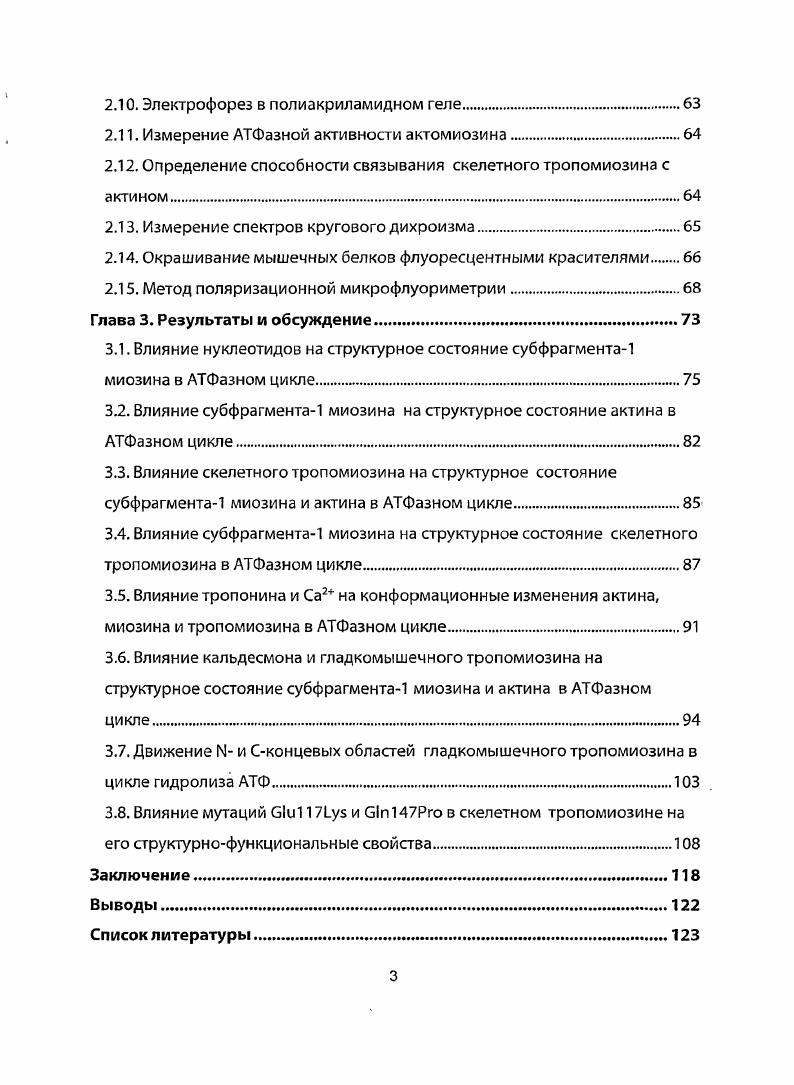 1.4.2. Взаимодействие тропомиозина с актином .