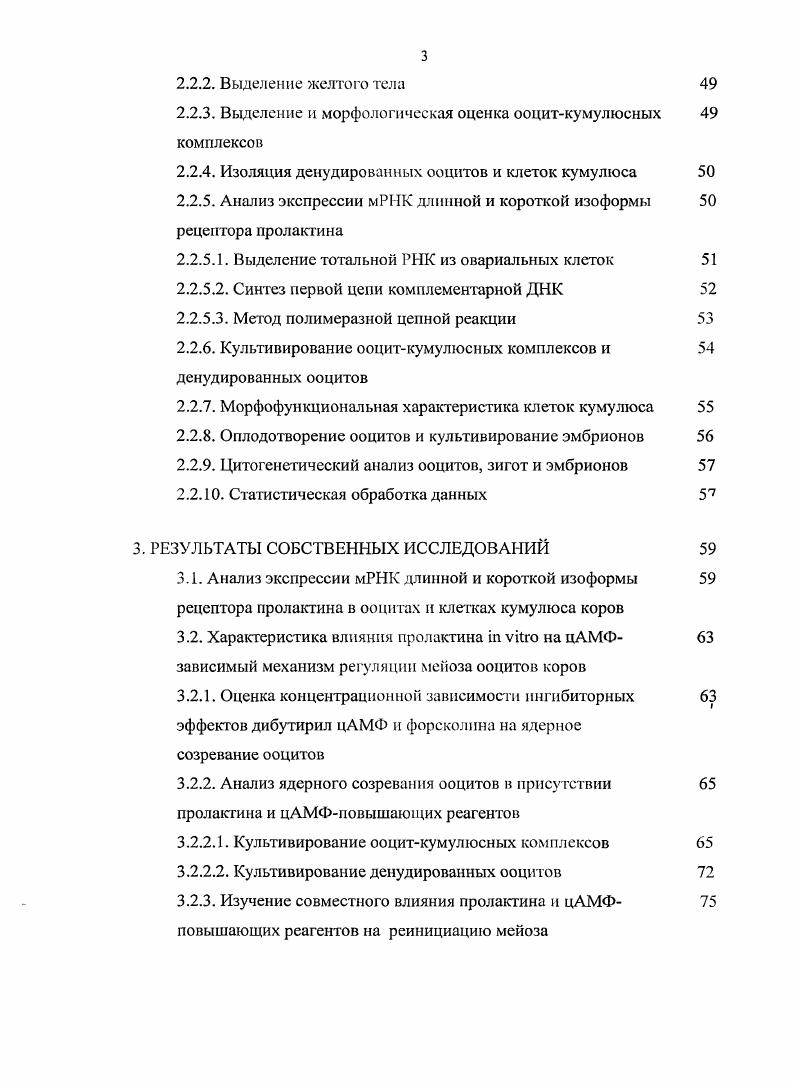 1.1.1. Ранние стадии оогеиеза и поддержание блока мейоза 