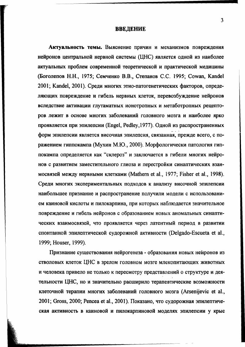 1.1.1. Деление по полям. Клеточные элементы гиппокампа 