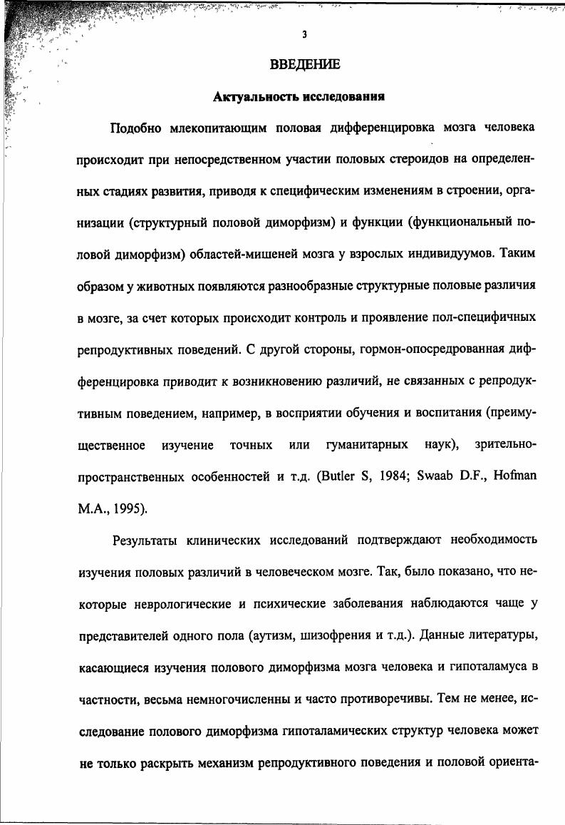 1.4.Паравентрикулярное ядро гипоталамуса человека микроанатомия. 