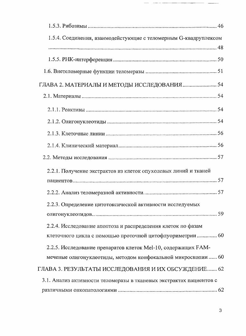 1.2. Структура и функции теломеразы.