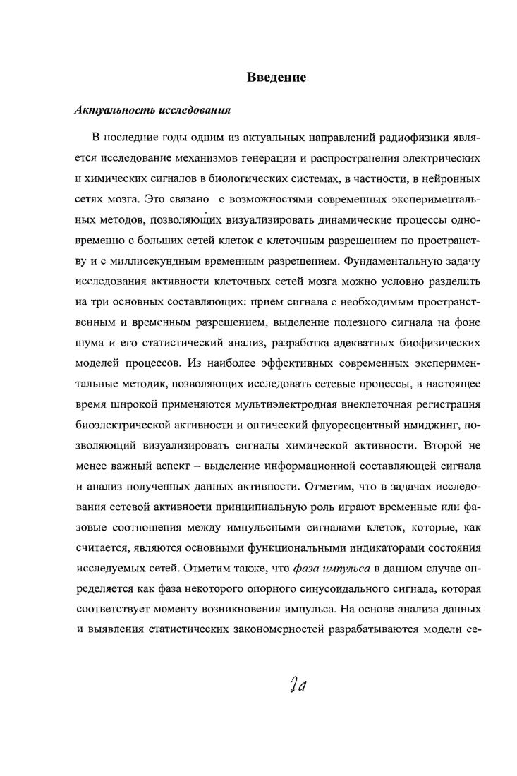 Глава 1. Исследование паттернов активности в культуре нейронов.