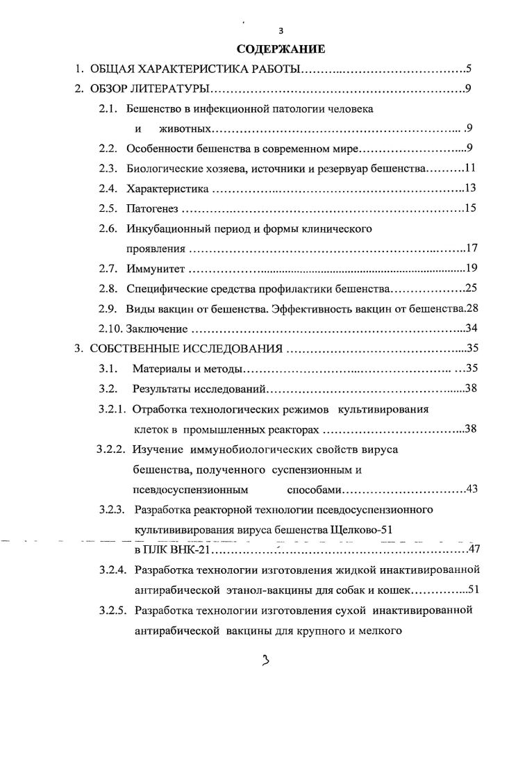 Особенности бешенства в современном мире	