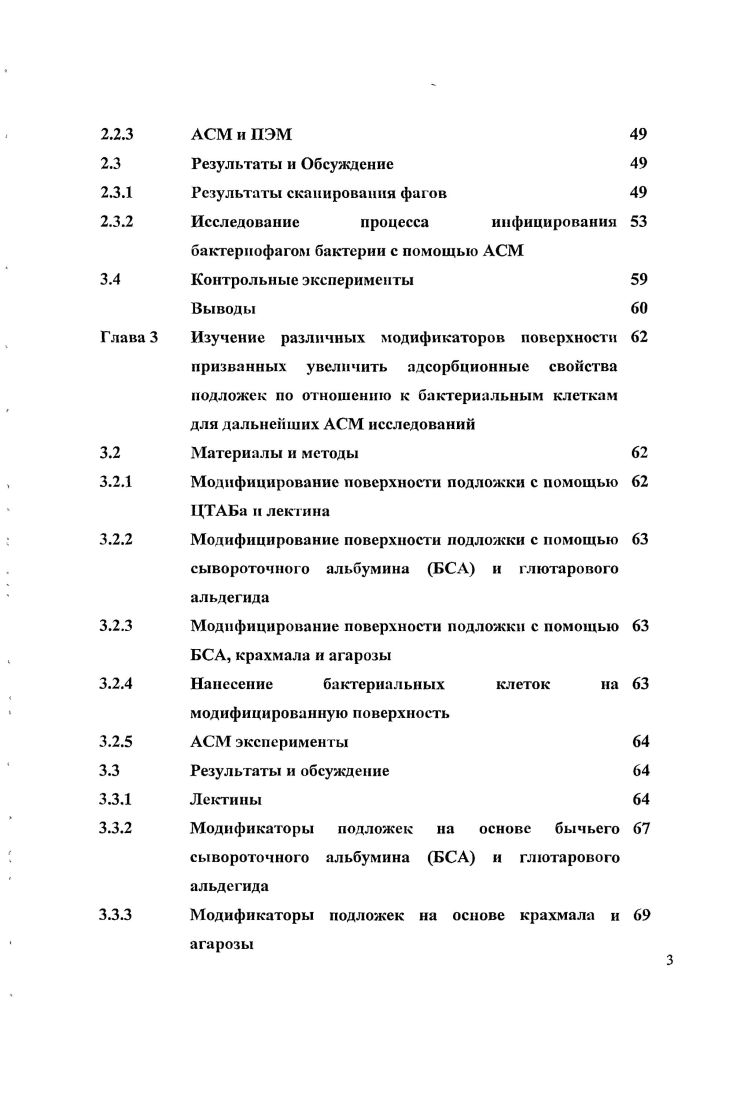 1.3 Артефакты зондовой микроскопии и способы их учта 