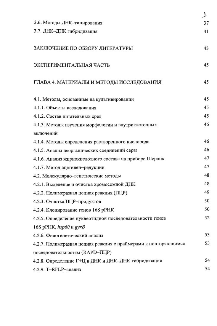 1.1. Экология бесцветных серобактерий 