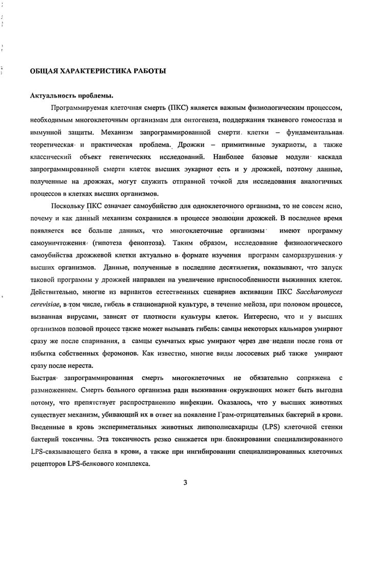 профессор Скулачев Владимир Петрович