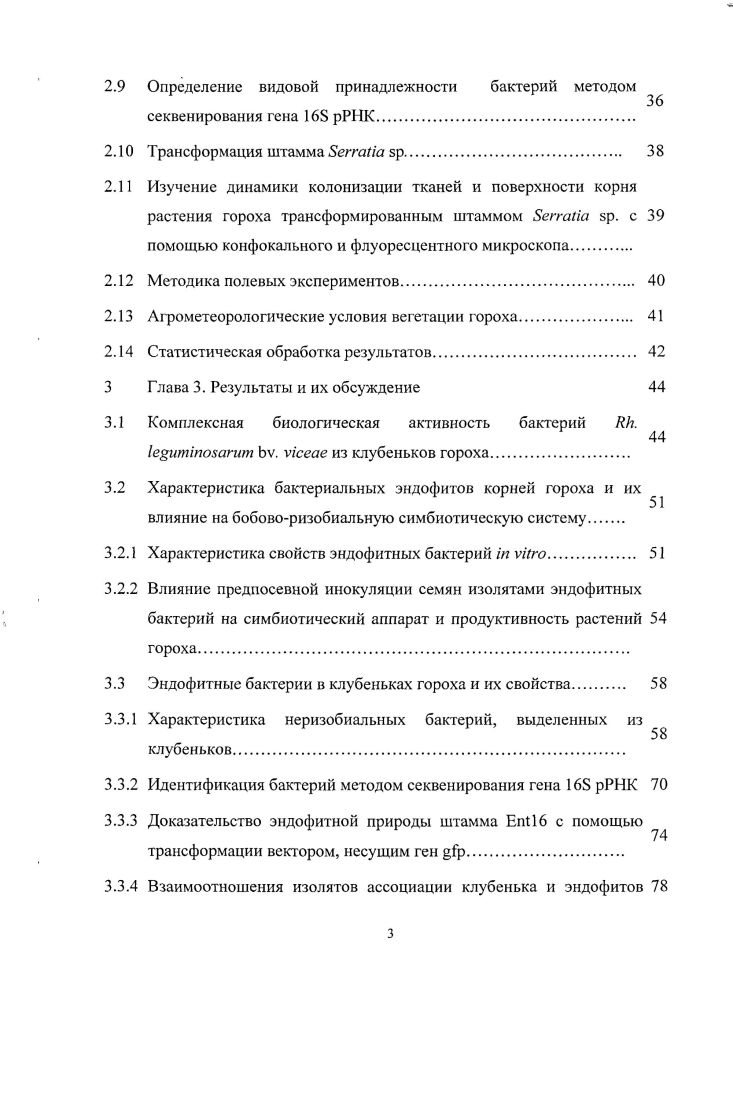 1.1 Эндофитные бактерии и их экологические ниши. 