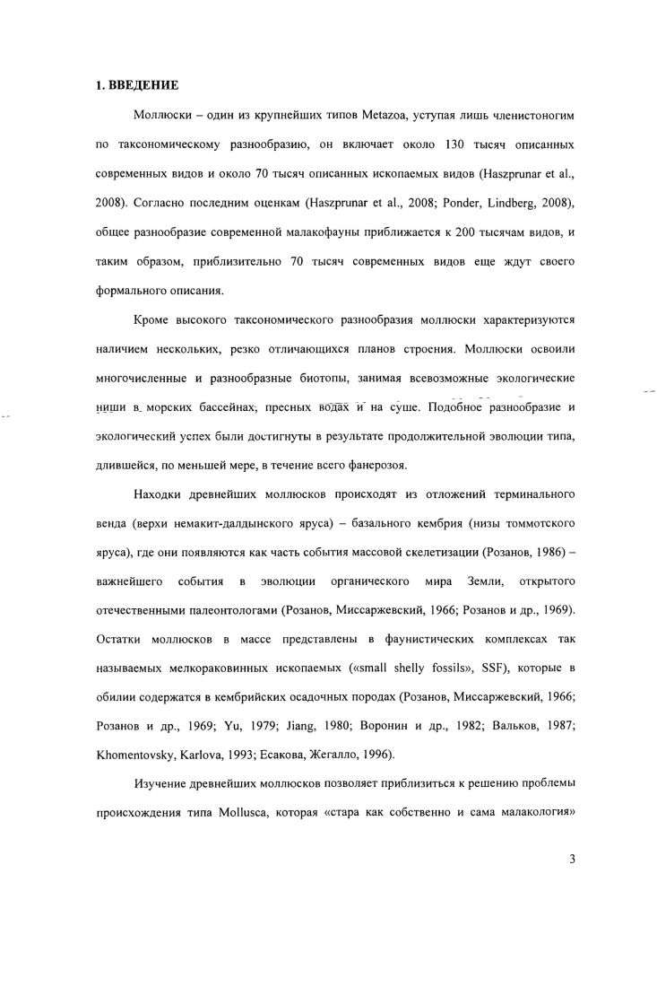 Рис. Несмотря на более чем 0летний период изучения древнейших кембрийских моллюсков v, Пархаев, 6, строение их раковинной мускулатуры оставалось загадкой для малакологов, изучавших морфологию и филогению самых ранних представителей типа , и это обстоятельство не раз отмечалось в литературе , , , , , Миссаржевский, , Пархаев, , 6. Если не считать единичные и довольно сомнительные указания на находки мускульных отпечатков у нескольких форм кембрийских гельционеллоидных моллюсков , Васильева, , , , положение мускулов в их раковине до последнего времени определить не удавалось, несмотря на обильнейший материал, накопленный по кембрийским моллюскам, представленный более чем 0 номинальными видами более чем 0 родов наши данные. Вызывало удивление, что раковины или ядра гельционеллид очень хорошей сохранности, при которой различимы даже элементы микроструктуры стенки раковин , i . Для объяснения этого факта было высказано предположение Пархаев, , что отсутствие отпечатков мускулов на раковинах этих моллюсков может являться следствием специфического положением зоны, где прикреплялись раковинные мускулы в подмакушечной части раковины к париетальной стенке. Обнаружить отпечатки на подмакушечном участке раковины затруднительно в силу его незначительной площади, более редкой сохранности, либо перекрытия последующим оборотом у завитых раковин. 