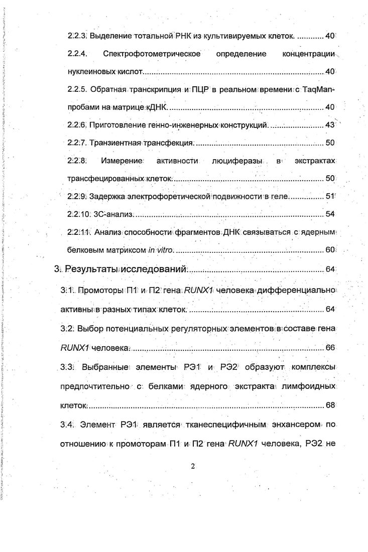 2.2. Транскрипционный фактор РиЫХ1.