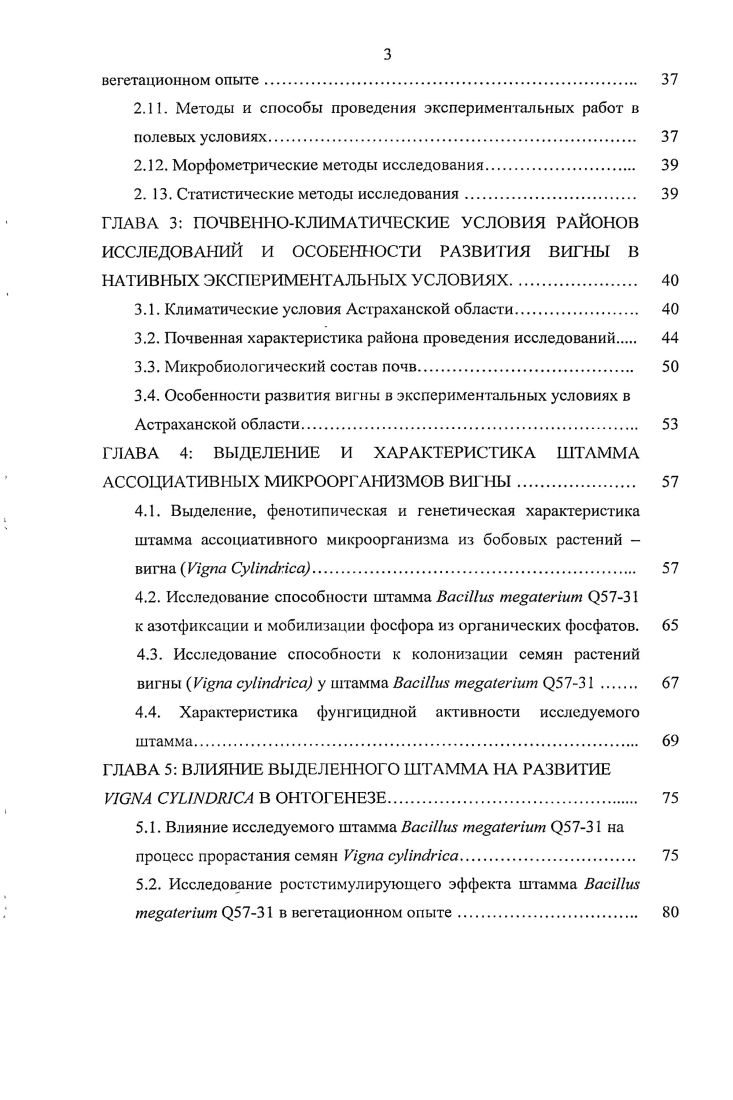 1.1 Вопросы взаимоотношения микроорганизмов и высших растений. 