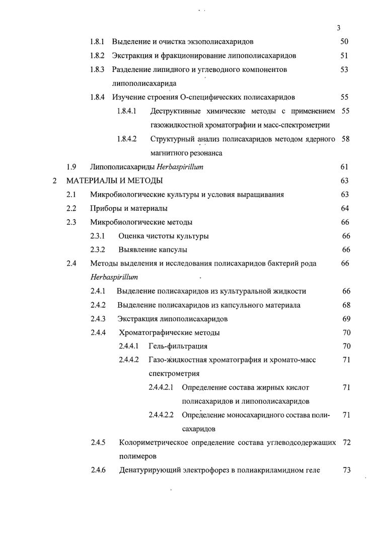 1.1 Бактерии рода НегЬюртИит представители азотфиксирующих 