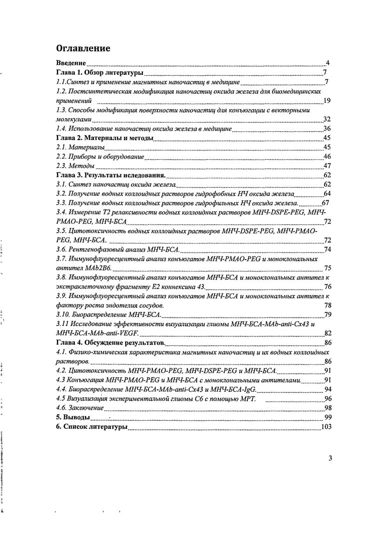 1.4. Использование наночастиц оксида железа в медицине
