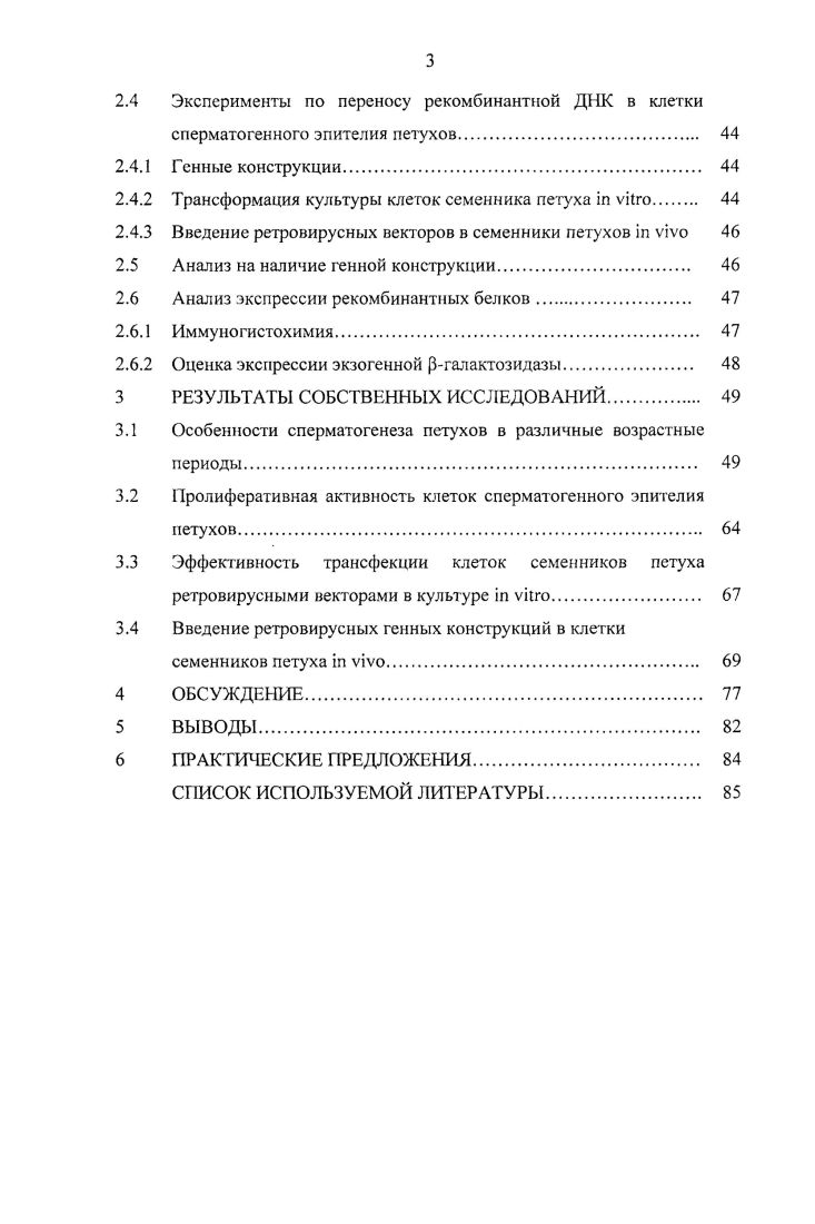 1.2 Морфологический состав клеток сперматогенного эпителия